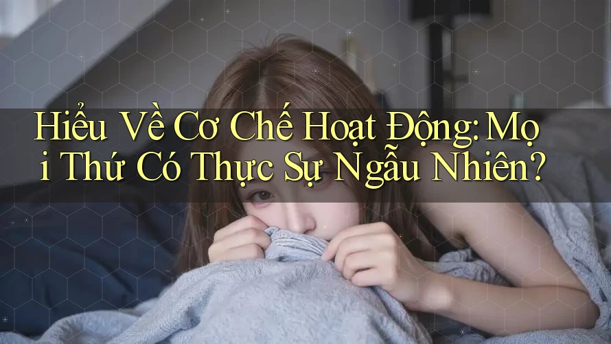 Hiểu Về Cơ Chế Hoạt Động: Mọi Thứ Có Thực Sự Ngẫu Nhiên?